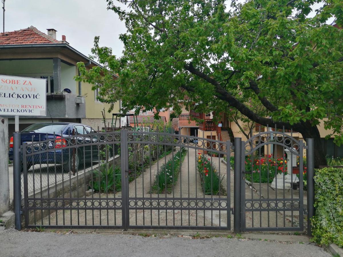 Apartamento Pansion Velickovic Niska Banja Exterior foto