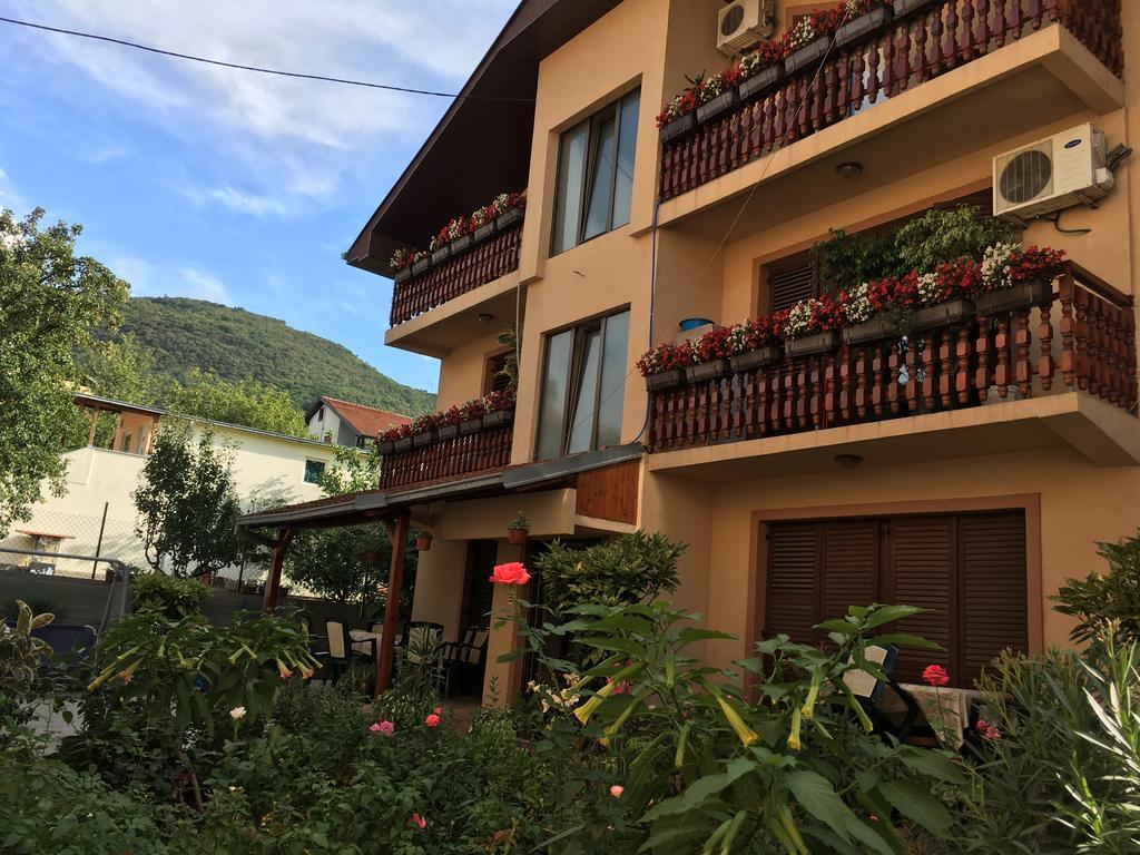 Apartamento Pansion Velickovic Niska Banja Exterior foto