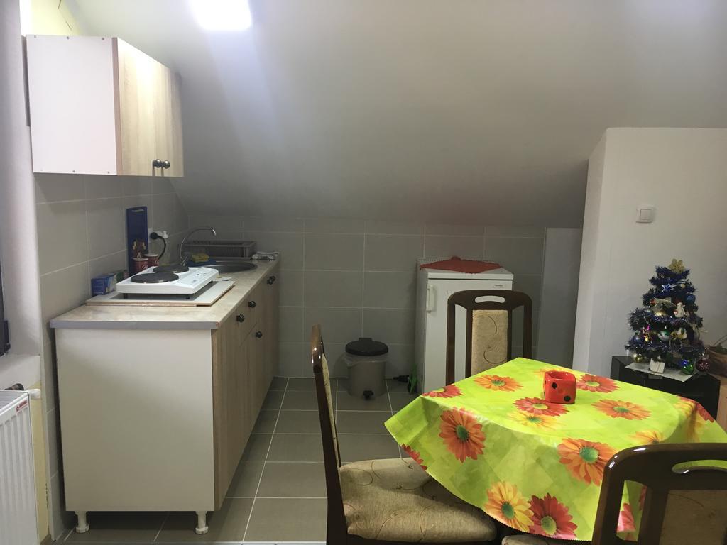 Apartamento Pansion Velickovic Niska Banja Exterior foto