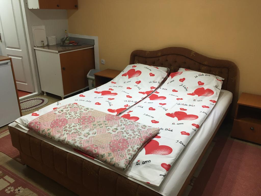 Apartamento Pansion Velickovic Niska Banja Exterior foto
