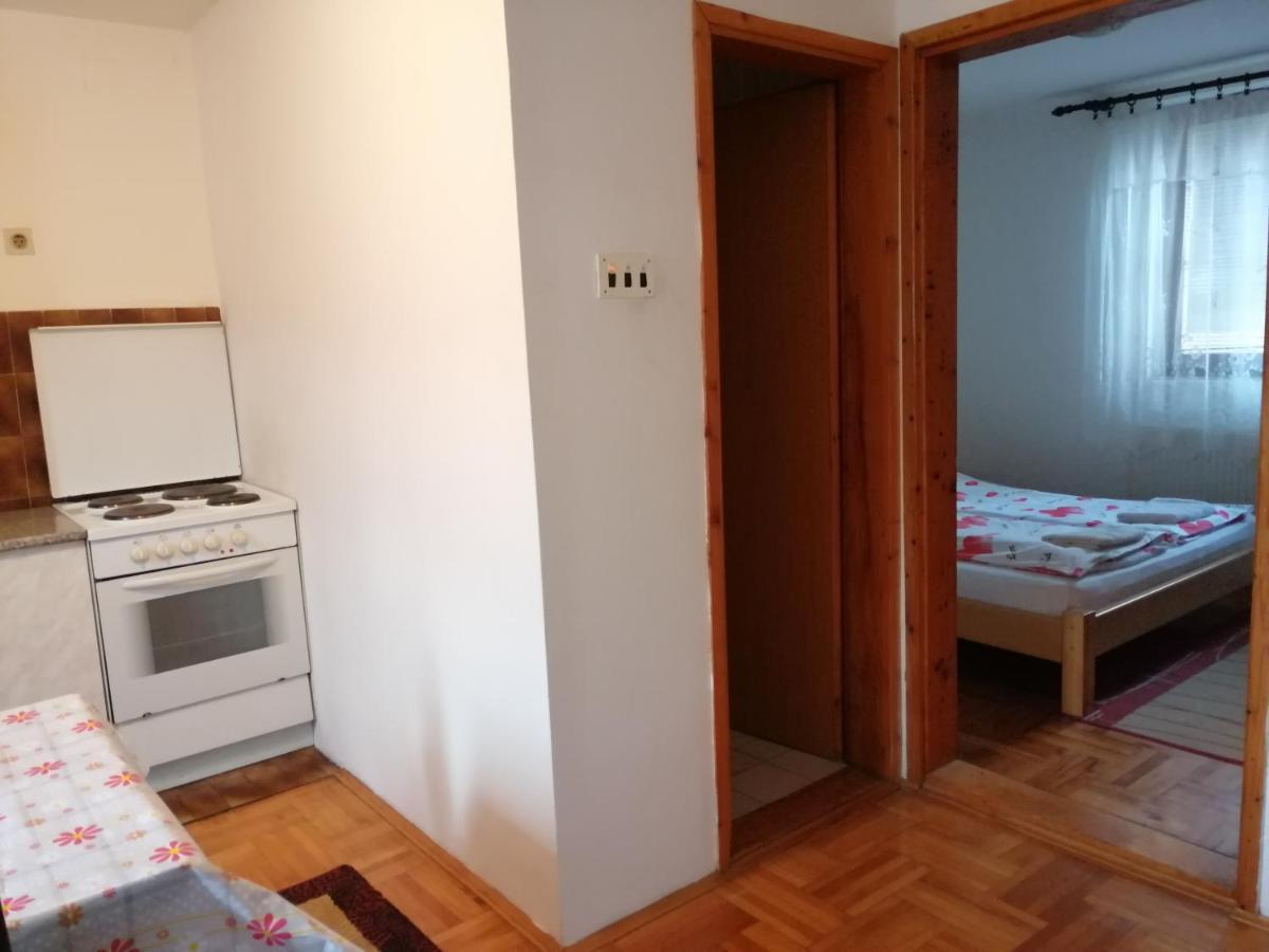 Apartamento Pansion Velickovic Niska Banja Exterior foto