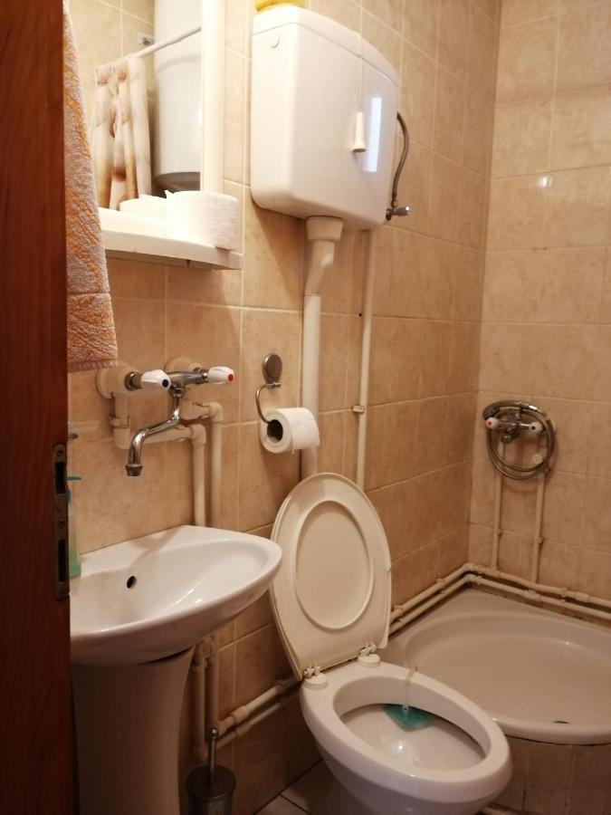 Apartamento Pansion Velickovic Niska Banja Exterior foto